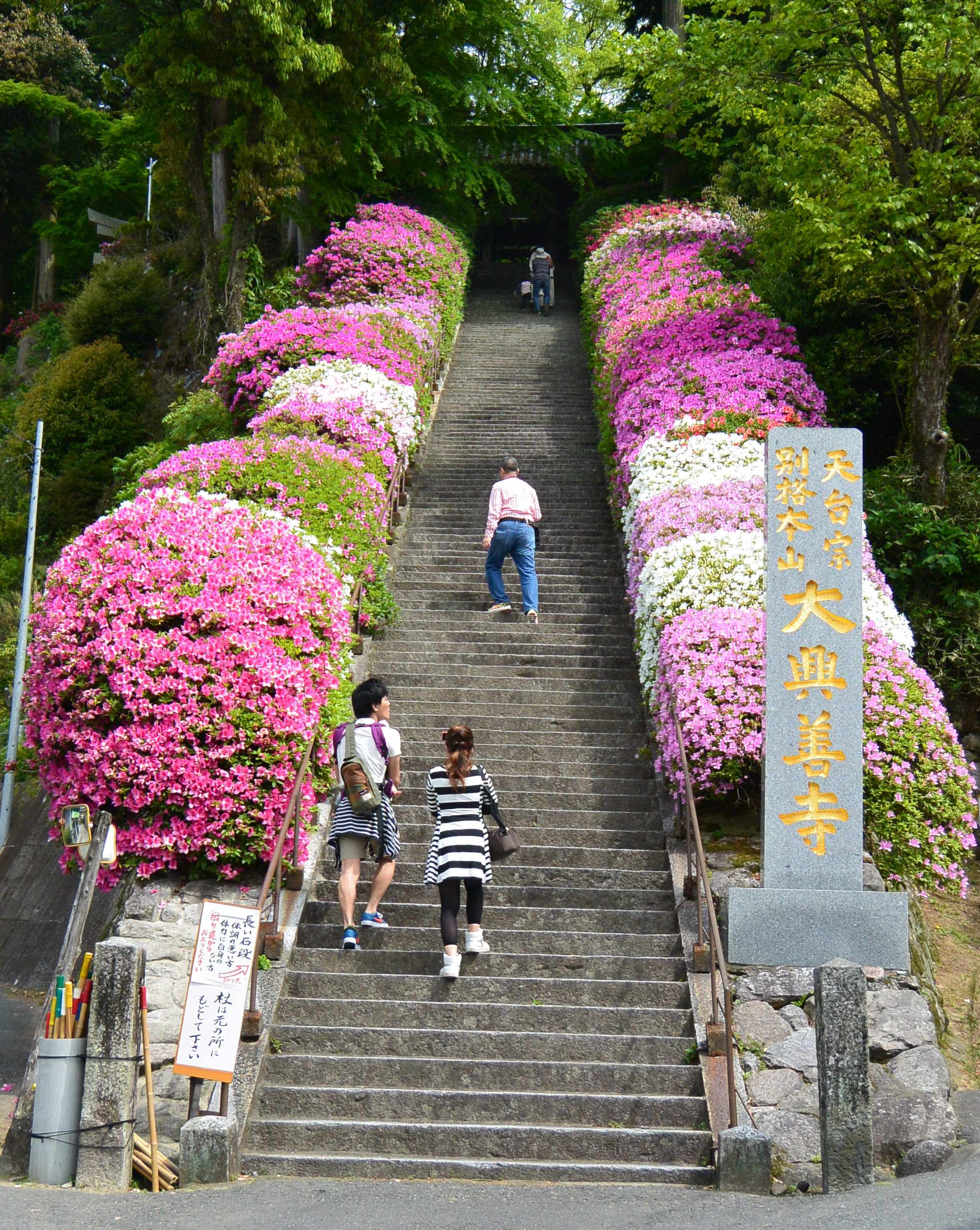 ⛩️ 대흥사 (다이코지) 이미지 4